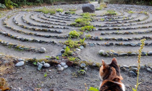 Karen L Nelson individual and couples counseling believe life is like a labyrinth.