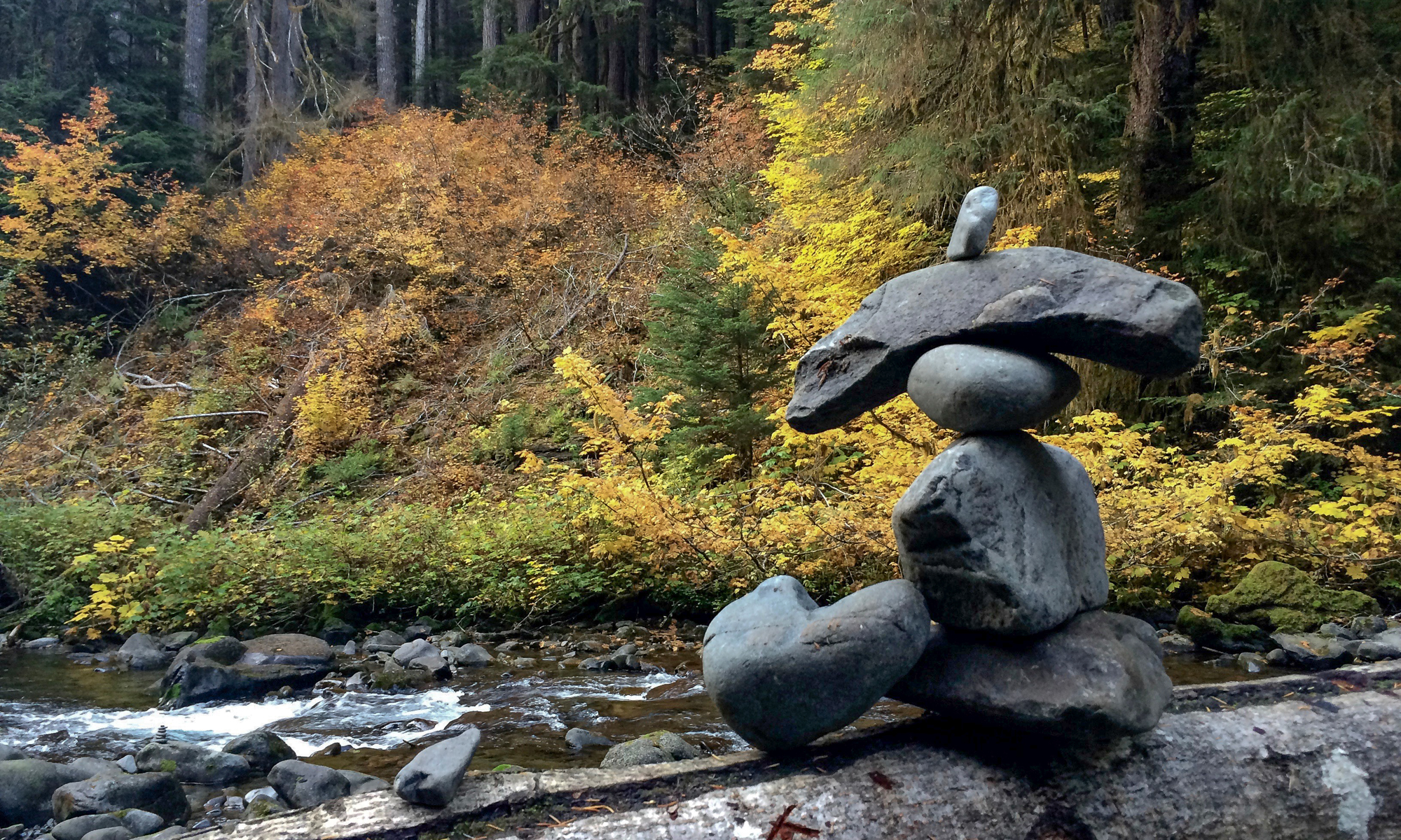 Karen L Nelson individual and couples counseling